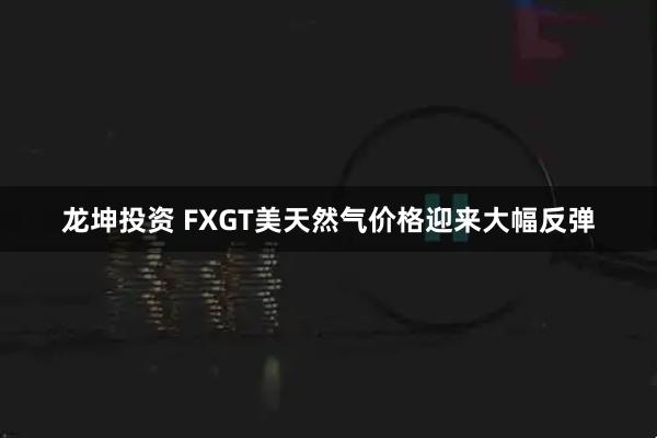 龙坤投资 FXGT美天然气价格迎来大幅反弹