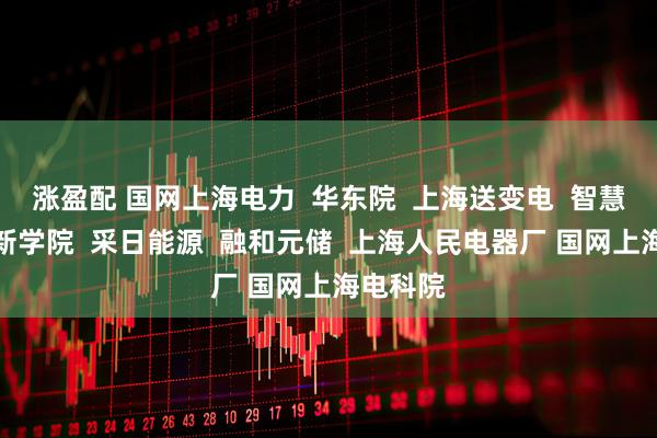 涨盈配 国网上海电力  华东院  上海送变电  智慧能源创新学院  采日能源  融和元储  上海人民电器厂 国网上海电科院