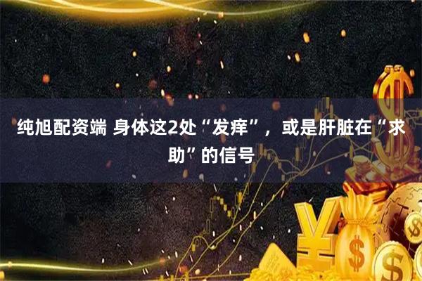 纯旭配资端 身体这2处“发痒”，或是肝脏在“求助”的信号
