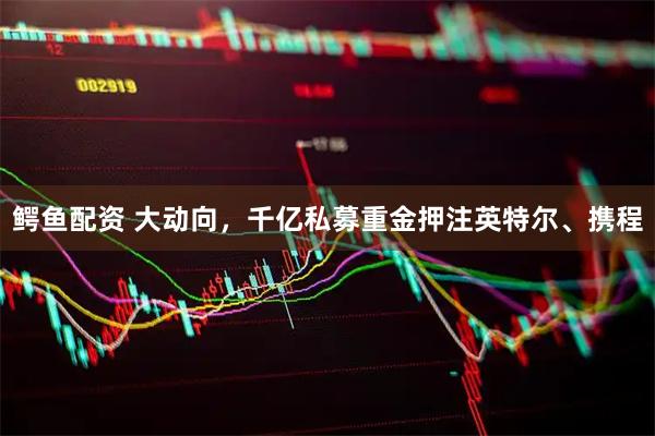 鳄鱼配资 大动向，千亿私募重金押注英特尔、携程
