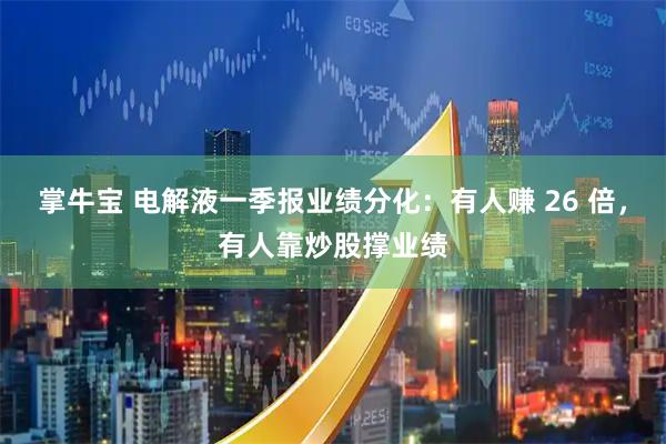掌牛宝 电解液一季报业绩分化：有人赚 26 倍，有人靠炒股撑业绩