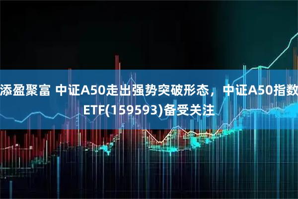 添盈聚富 中证A50走出强势突破形态，中证A50指数ETF(159593)备受关注