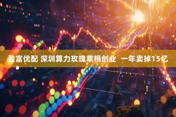盈富优配 深圳算力玫瑰草根创业  一年卖掉15亿