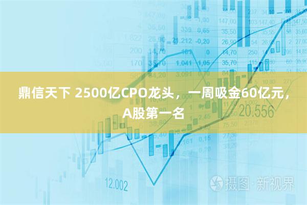 鼎信天下 2500亿CPO龙头，一周吸金60亿元，A股第一名